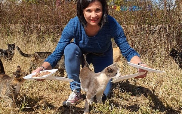 Harties Feral Cat Rescue and the woman behind it.