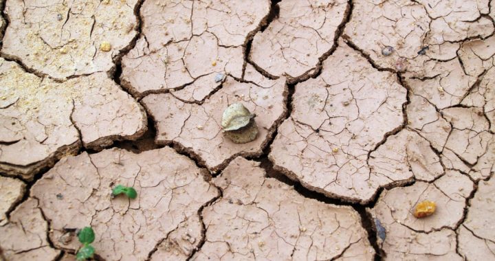 The Elements and Agriculture Part 1 – Drought