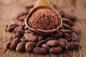 Cocoa – The Ancient Connection
