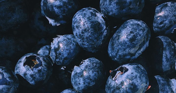 The Story of the Blueberry: From Soil to Superfood