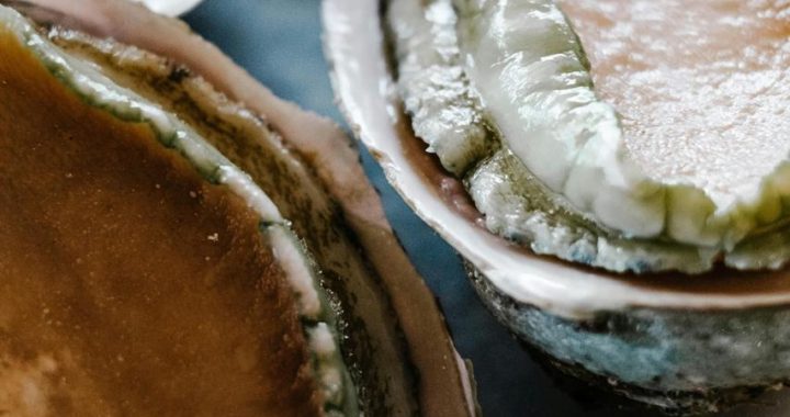 Harvesting the Ocean Abalone Part 1